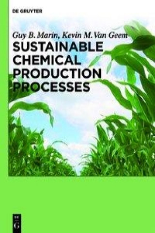 Kniha Sustainable Chemical Production Processes Guy B. Marin