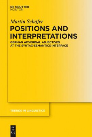 Könyv Positions and Interpretations Martin Schäfer