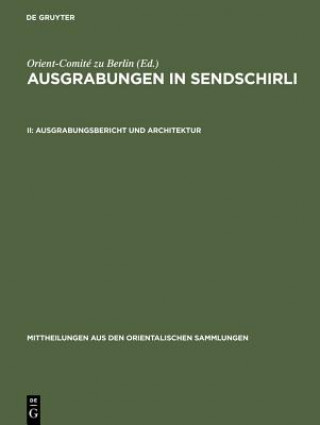 Книга Ausgrabungsbericht Und Architektur Orient-Comité zu Berlin