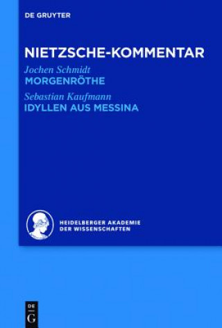 Kniha Kommentar Zu Nietzsches Morgenroethe, Idyllen Aus Messina Jochen Schmidt