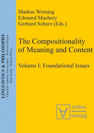 Knjiga Foundational Issues Markus Werning
