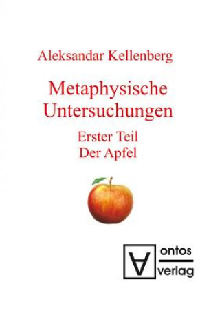 Buch Monadischer Raum Aleksandar Kellenberg