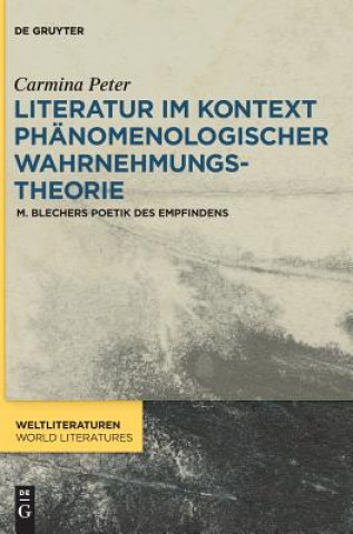 Kniha Literatur im Kontext phanomenologischer Wahrnehmungstheorie Carmina Peter