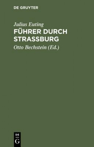 Buch Fuhrer Durch Strassburg Julius Euting