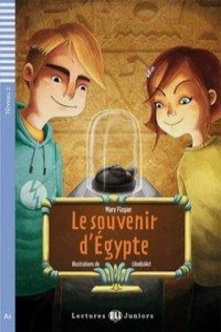 Książka Le souvenir d'Égypte. Buch Mary Flagan