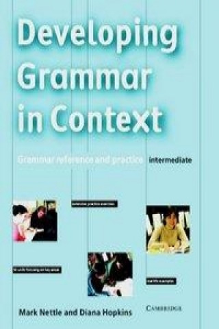Carte Developing Grammar in Context. Book without answers Mark Nettle