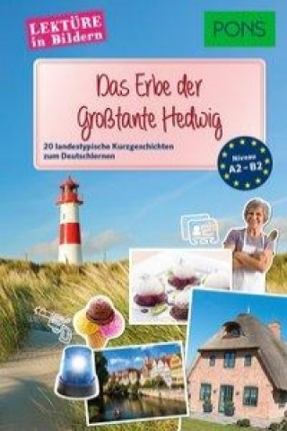 Könyv PONS Lektüre in Bildern Deutsch als Fremdsprache - Das Erbe der Großtante Hedwig Ann N. Schmid