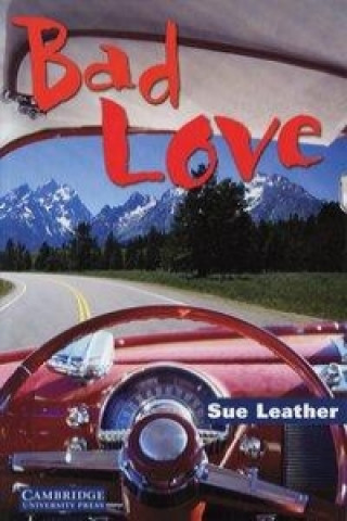 Kniha Bad Love Sue Leather