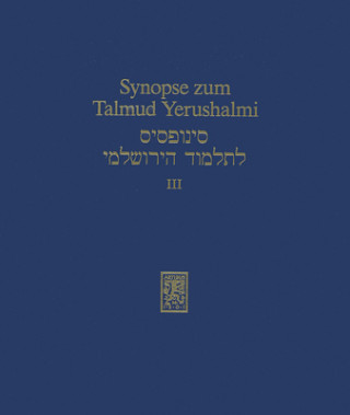 Könyv Synopse zum Talmud Yerushalmi Hans-Jürgen Becker
