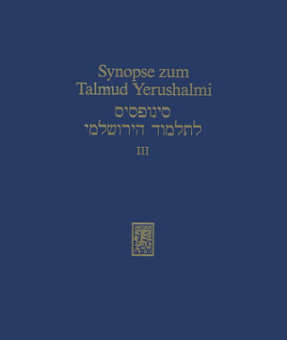 Book Synopse zum Talmud Yerushalmi Hans-Jürgen Becker