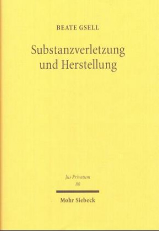 Kniha Substanzverletzung und Herstellung Beate Gsell