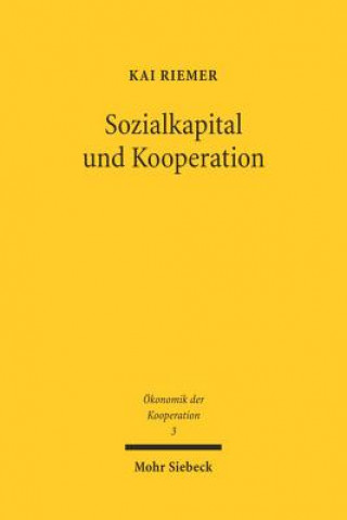 Kniha Sozialkapital und Kooperation Kai Riemer