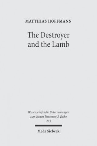 Kniha Destroyer and the Lamb Matthias Hoffmann