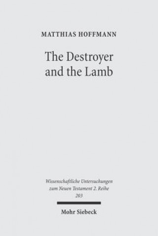 Knjiga Destroyer and the Lamb Matthias Hoffmann