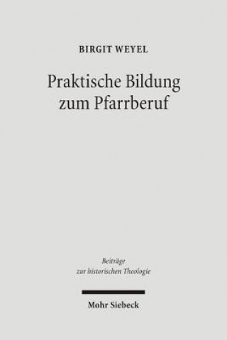 Kniha Praktische Bildung zum Pfarrberuf Birgit Weyel