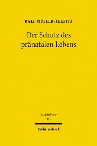 Kniha Der Schutz des pranatalen Lebens Ralf Müller-Terpitz