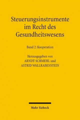 Knjiga Steuerungsinstrumente im Recht des Gesundheitswesens Arndt Schmehl