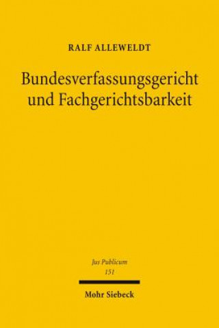 Könyv Bundesverfassungsgericht und Fachgerichtsbarkeit Ralf Alleweldt