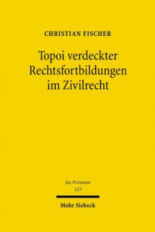 Kniha Topoi verdeckter Rechtsfortbildungen im Zivilrecht Christian Fischer