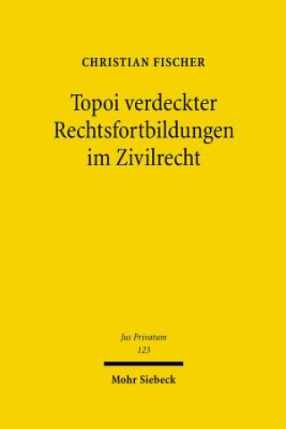 Książka Topoi verdeckter Rechtsfortbildungen im Zivilrecht Christian Fischer