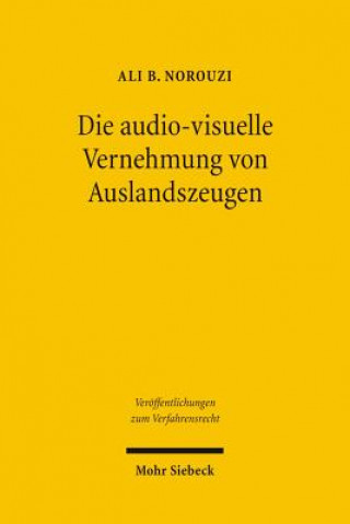 Könyv Die audiovisuelle Vernehmung von Auslandszeugen Ali B. Norouzi