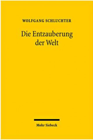 Kniha Die Entzauberung der Welt Wolfgang Schluchter