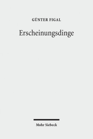 Kniha Erscheinungsdinge Günter Figal