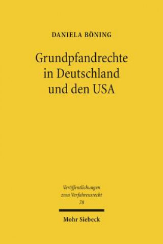 Könyv Grundpfandrechte in Deutschland und den USA Daniela Böning