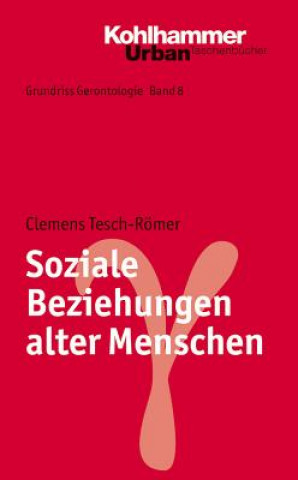 Könyv Soziale Beziehungen alter Menschen Clemens Tesch-Römer