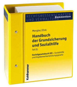 Knjiga Handbuch der Grundsicherung und Sozialhilfe Fritz Baur