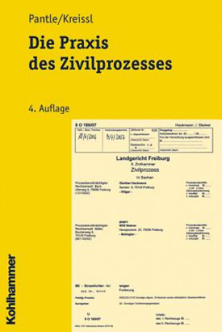 Carte Die Praxis des Zivilprozesses Norbert Pantle