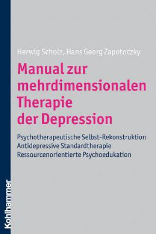 Książka Manual zur mehrdimensionalen Therapie der Depression Herwig Scholz