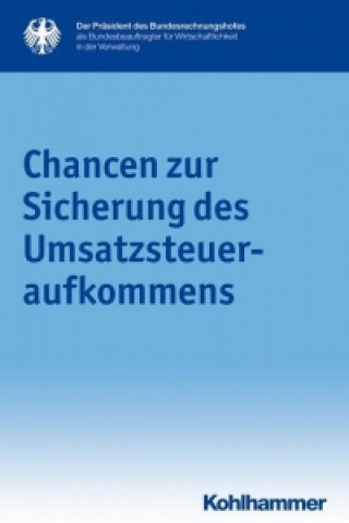 Książka Chancen zur Sicherung des Umsatzsteueraufkommens Präsident des Bundesrechnungshofes