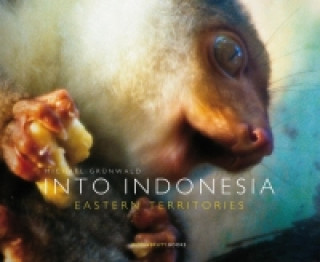 Könyv INTO INDONESIA. Eastern Territories Michael Grünwald