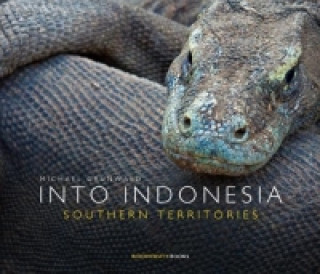 Könyv INTO INDONESIA. Southern Territories Michael Grünwald