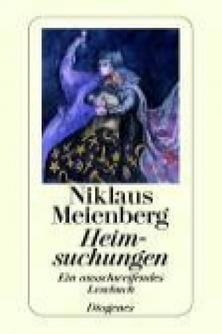 Buch Heimsuchungen Niklaus Meienberg