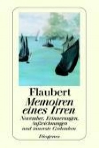 Könyv Memoiren eines Irren Gustave Flaubert