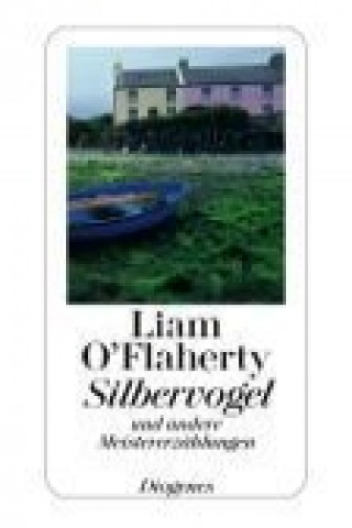 Książka Silbervogel Liam O'Flaherty