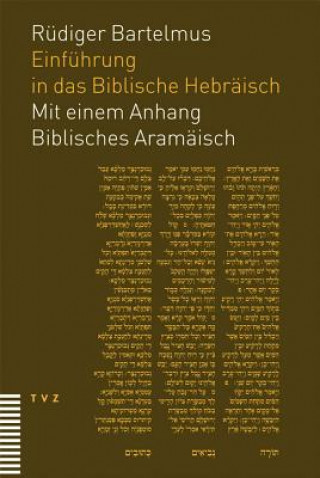 Könyv Einführung in das Biblische Hebräisch Rüdiger Bartelmus