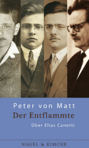 Kniha Der Entflammte Peter von Matt