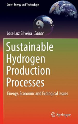Könyv Sustainable Hydrogen Production Processes José Luz Silveira