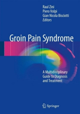 Kniha Groin Pain Syndrome Raul Zini