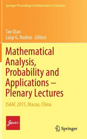 Könyv Mathematical Analysis, Probability and Applications - Plenary Lectures Tao Qian