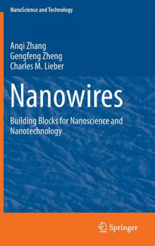 Könyv Nanowires Anqi Zhang