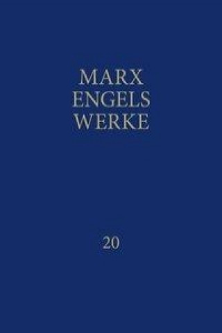 Kniha Werke 20 Institut für Marxismus-Leninismus beim ZK der SED.