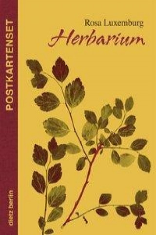Carte Herbarium Postkartenset Rosa Luxemburg