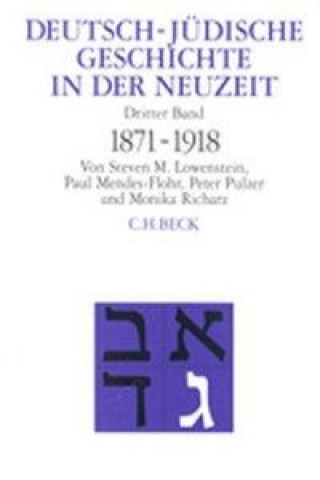 Buch Umstrittene Integration Steven M. Lowenstein