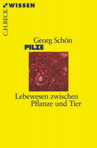 Kniha Pilze Georg Schön