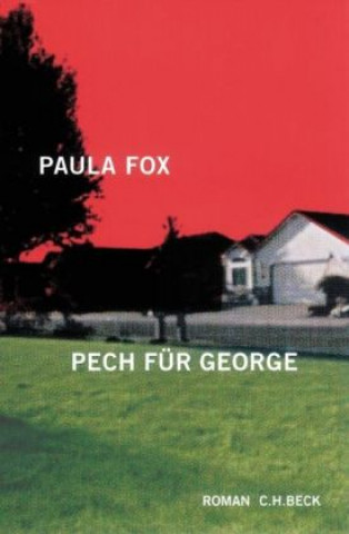 Buch Pech für George Paula Fox