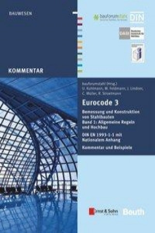 Buch Eurocode 3 Bemessung und Konstruktion von Stahlbauten Band 1 Markus Feldmann